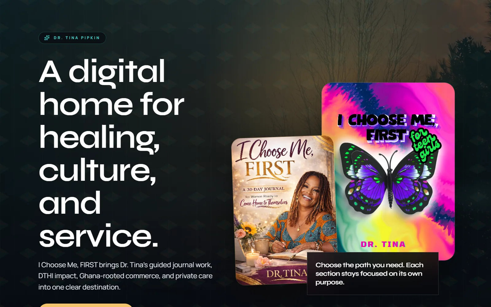 Redesigned Dr. Tina Health Initiative homepage